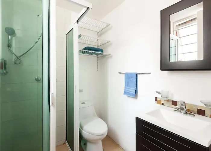 Cozy & Full In Coyoacan Great For Long Appartement Mexico