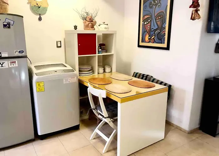 Cozy & Full In Coyoacan Great For Long Appartement
